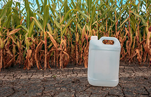  History of Pesticides&nbsp;